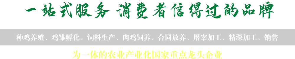 肉鸡屠宰加工厂